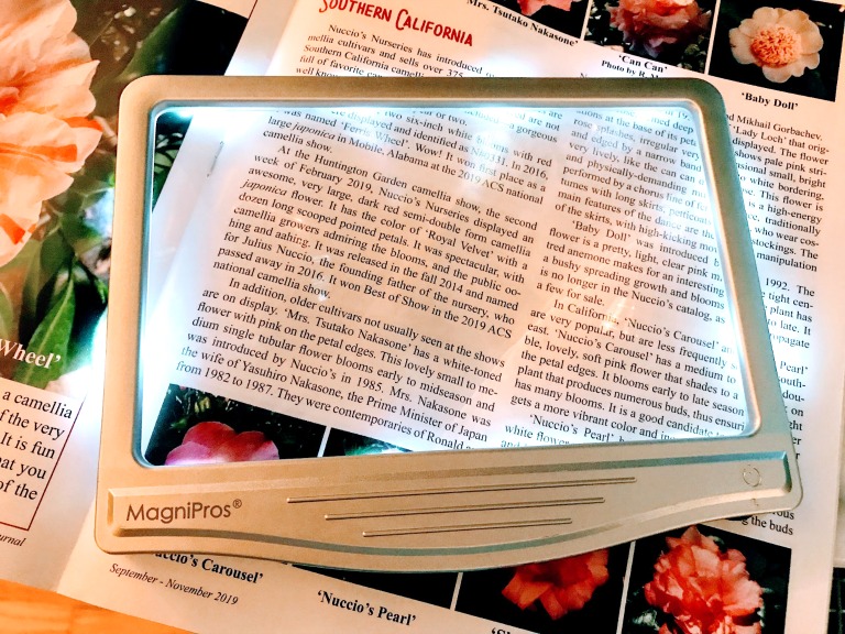hands free page magnifier