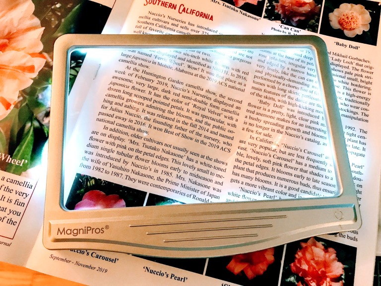 magnifying book reader light